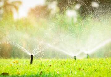 Irrigation & Drip System